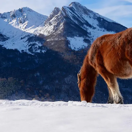 Villa La Maison Aux Pieds Des Pyrenees - Piscine D'exception De 25m *