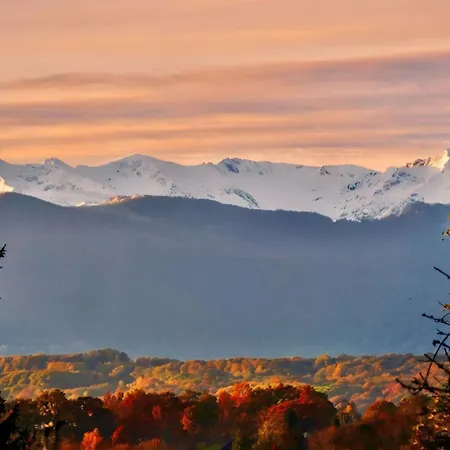 La Maison Aux Pieds Des Pyrenees - Piscine D'exception De 25m Villa